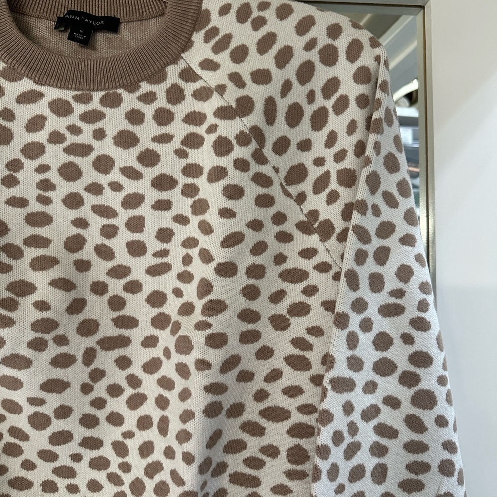 Ann Taylor Women's Patterned Crew Neck Sweater